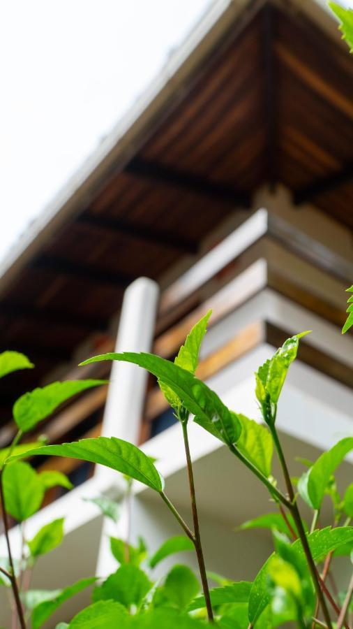 Hotel Luna Llena Tamarindo Kültér fotó